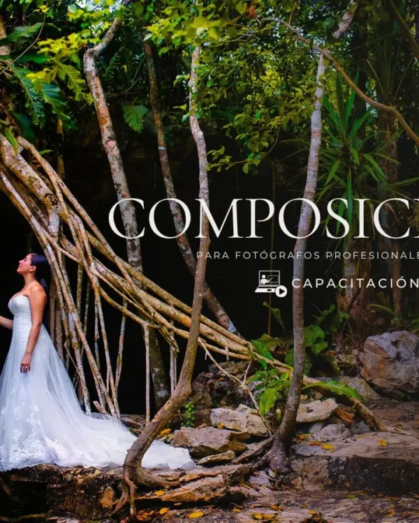 Composición Figuras geométricas